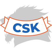 Логотип Chennai Super Kings